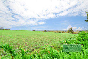 Photo 2- click for photo gallery